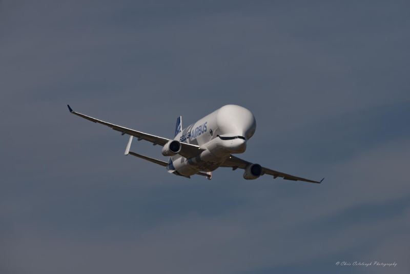 2022_RIAT-040